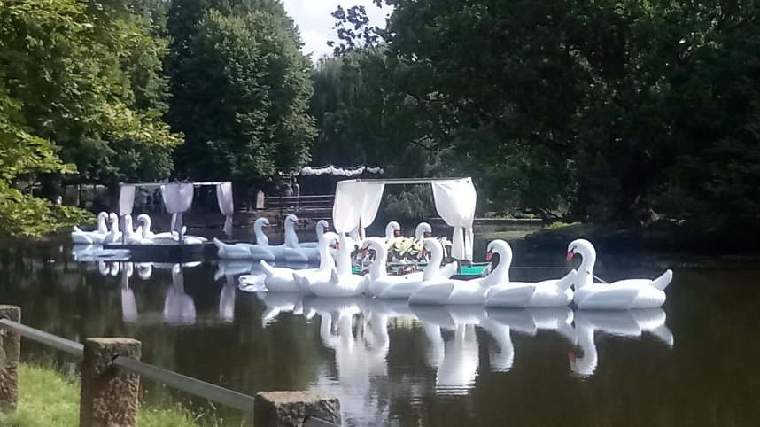 Landpartie Schloss B&uuml;ckeburg