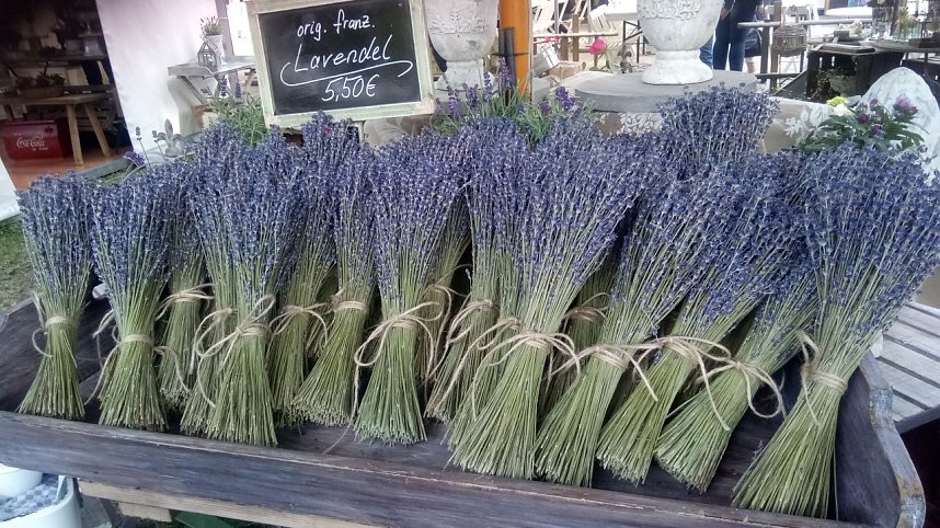 Landpartie Schloss B&uuml;ckeburg