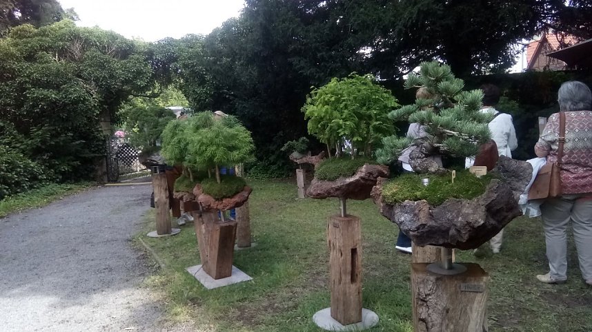 Landpartie Schloss B&uuml;ckeburg