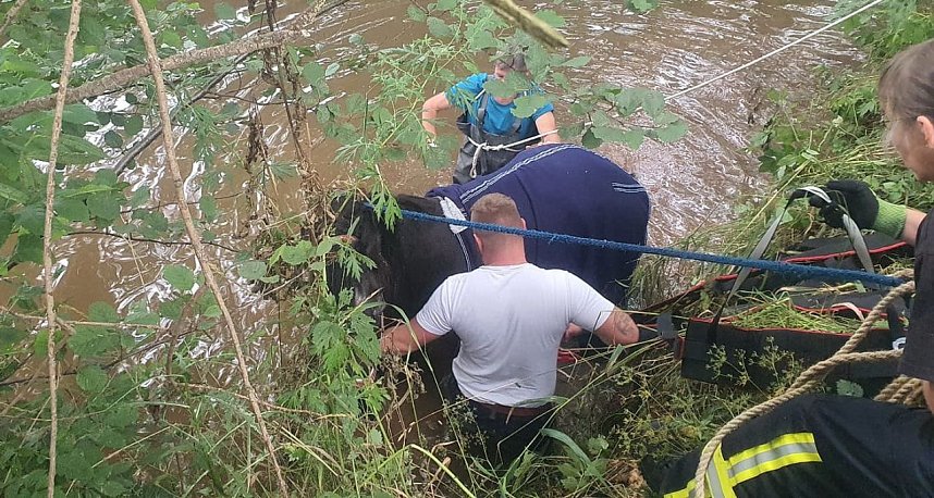 Bei Gro&szlig;wechsungen musste ein Pferd aus der Helme gehoben werden