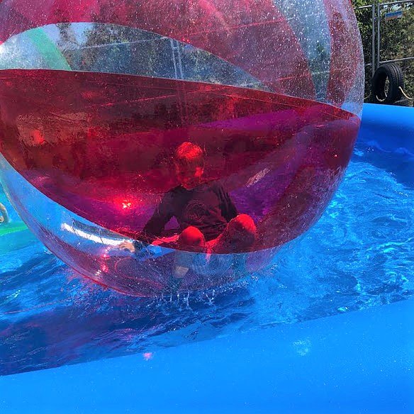 Das ist los im Rittergut