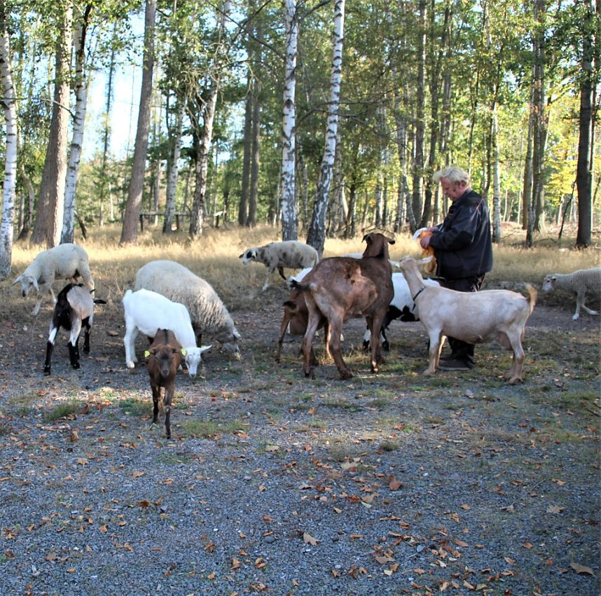 Das ist los im Rittergut