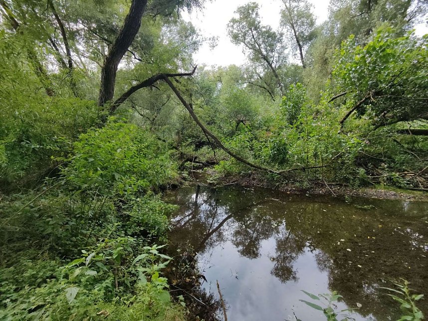 Am Einfluss der Wieda in die Zorge