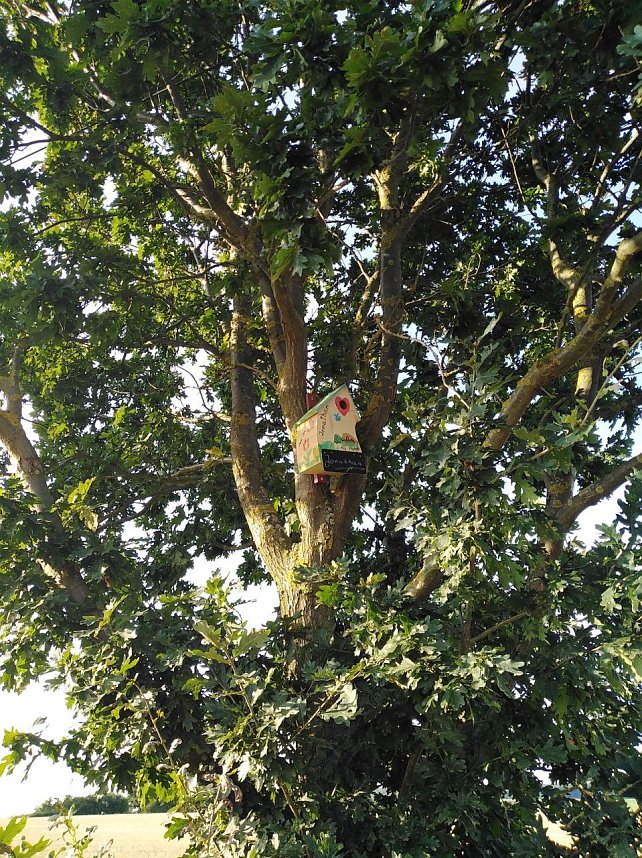 Neue Vogelh&auml;uschen in Urbach