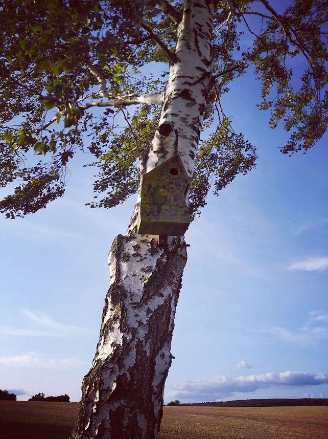 Neue Vogelh&auml;uschen in Urbach