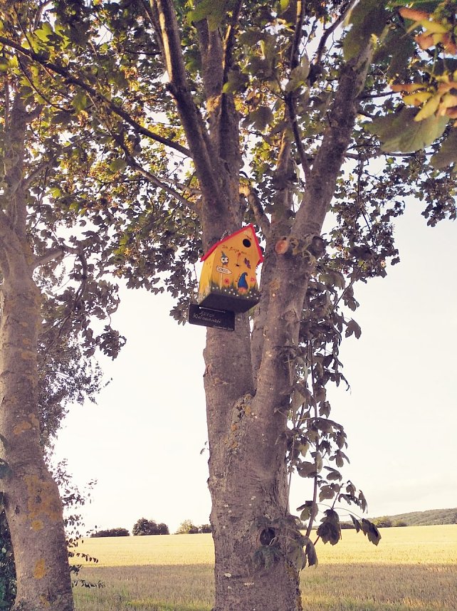 Neue Vogelh&auml;uschen in Urbach