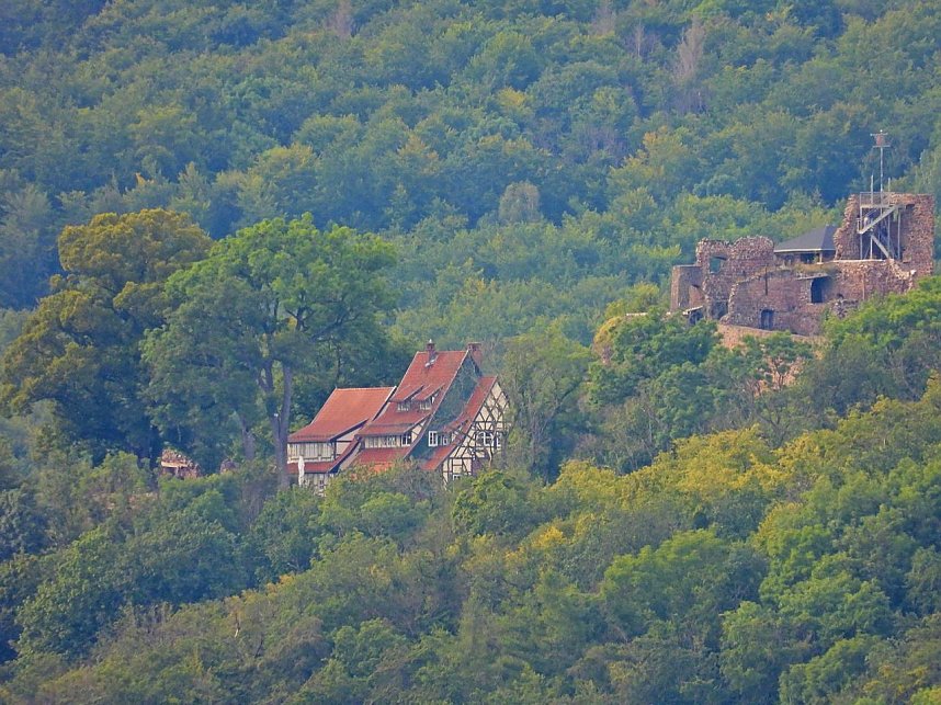 Ungew&ouml;hnliche An- und Aussichten bei Herrmannsacker