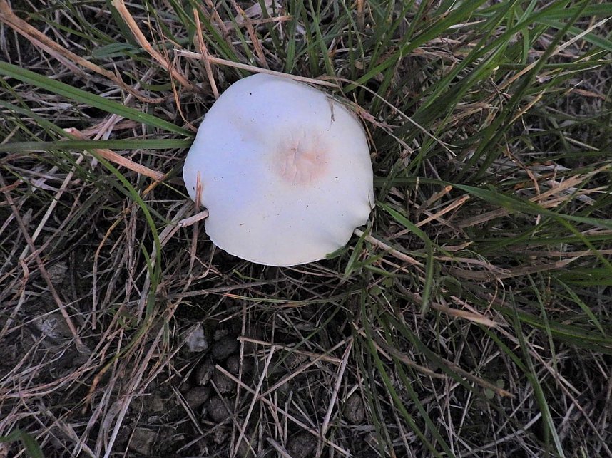 Impressionen am Sonntagabend