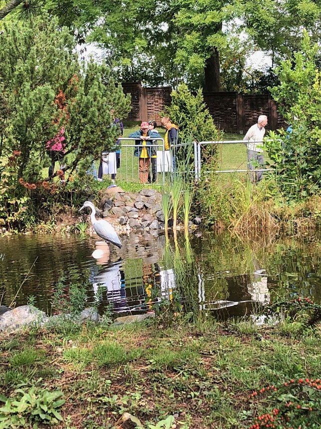 Elfenpark in Bleicherode