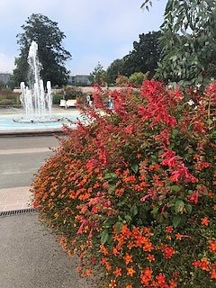 Nordh&auml;user Herzsportgruppe auf der BUGA in Erfurt