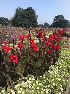 Nordh&auml;user Herzsportgruppe auf der BUGA in Erfurt