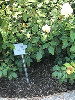 Nordh&auml;user Herzsportgruppe auf der BUGA in Erfurt