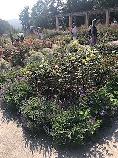 Nordh&auml;user Herzsportgruppe auf der BUGA in Erfurt