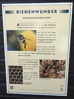 Nordh&auml;user Herzsportgruppe auf der BUGA in Erfurt