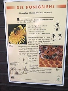 Nordh&auml;user Herzsportgruppe auf der BUGA in Erfurt