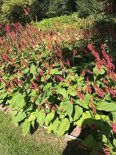Nordh&auml;user Herzsportgruppe auf der BUGA in Erfurt