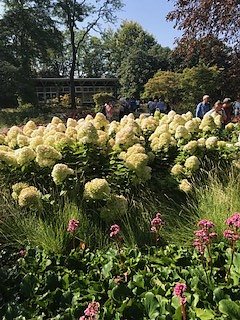 Nordh&auml;user Herzsportgruppe auf der BUGA in Erfurt