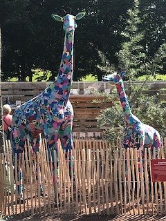 Nordh&auml;user Herzsportgruppe auf der BUGA in Erfurt