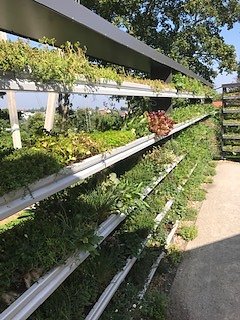 Nordh&auml;user Herzsportgruppe auf der BUGA in Erfurt