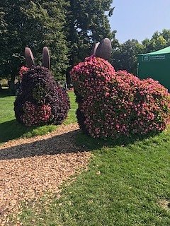 Nordh&auml;user Herzsportgruppe auf der BUGA in Erfurt