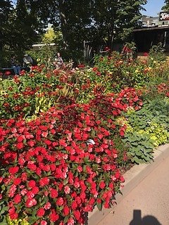 Nordh&auml;user Herzsportgruppe auf der BUGA in Erfurt