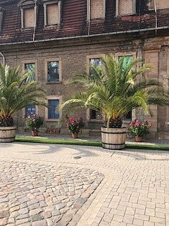 Nordh&auml;user Herzsportgruppe auf der BUGA in Erfurt