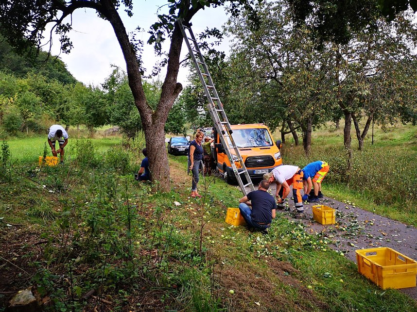 Apfelaktion in Harztor