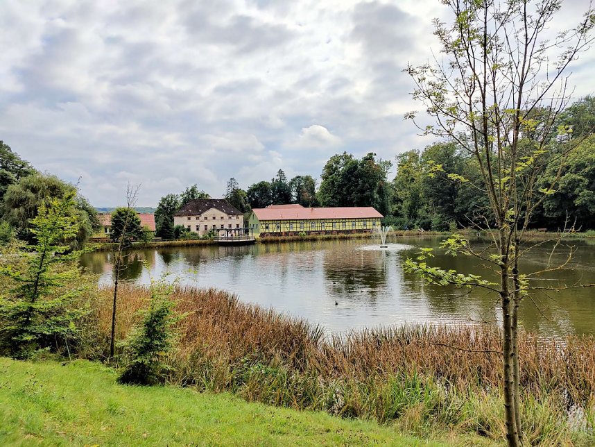 Peter Blei im Neuen Schloss Neustadt