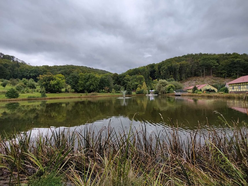 Peter Blei im Neuen Schloss Neustadt