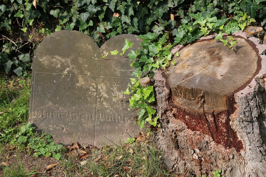 Gr&auml;ber die Geschichten erz&auml;hlen - Eindr&uuml;cke vom j&uuml;dischen Friedhof in Nordhausen