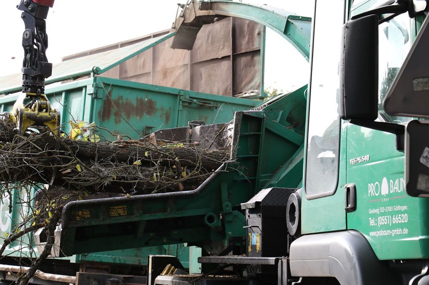 An der Bleiche hat man damit begonnen 13 B&auml;ume zu f&auml;llen
