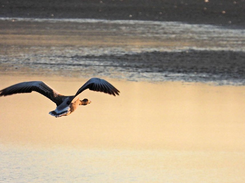 Peter Blei unterwegs am Stausee Kelbra