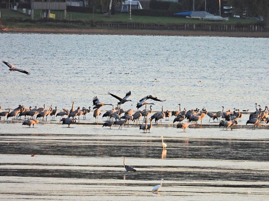 Peter Blei unterwegs am Stausee Kelbra