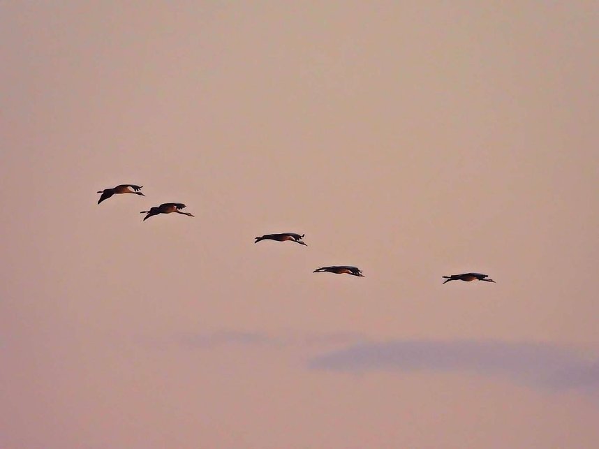 Peter Blei unterwegs am Stausee Kelbra