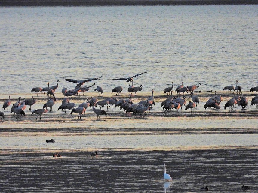 Peter Blei unterwegs am Stausee Kelbra