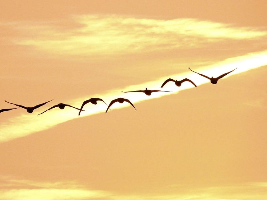 Peter Blei unterwegs am Stausee Kelbra
