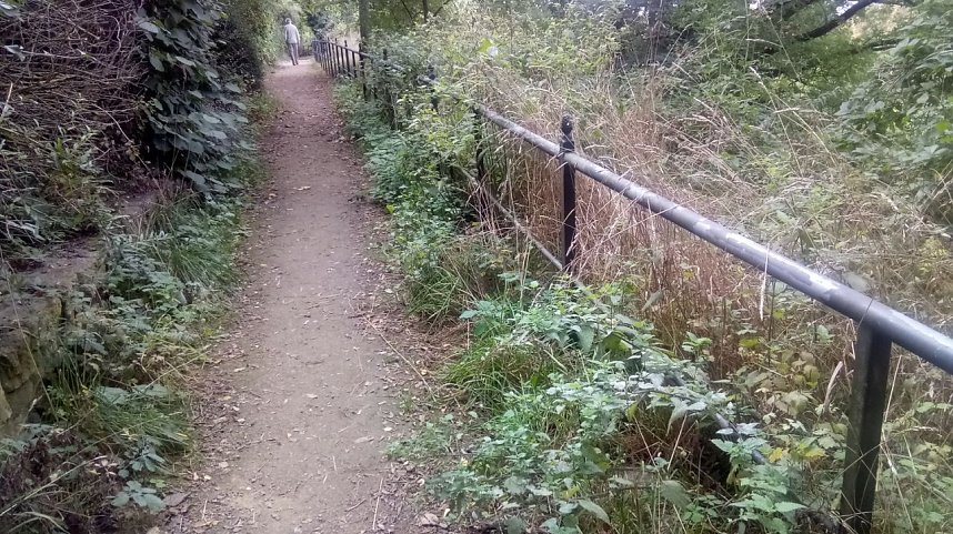 Manche Spazierg&auml;nger m&ouml;gen� das Gr&uuml;n am Wegesrand nicht. Wer aber ein Herz f&uuml;r Insekten hat, den st&ouml;ren Wildkr&auml;uter nicht.