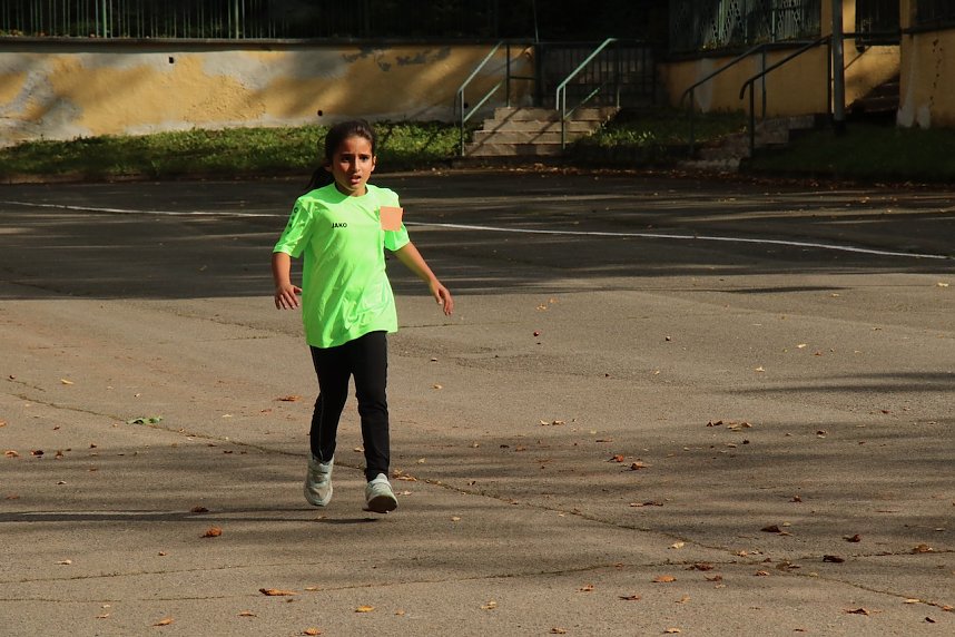 Herbstcrosslauf 2021 im Gehege