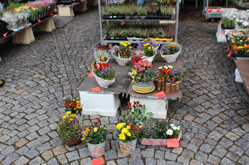 Herbstmarkt in Nordhausen 