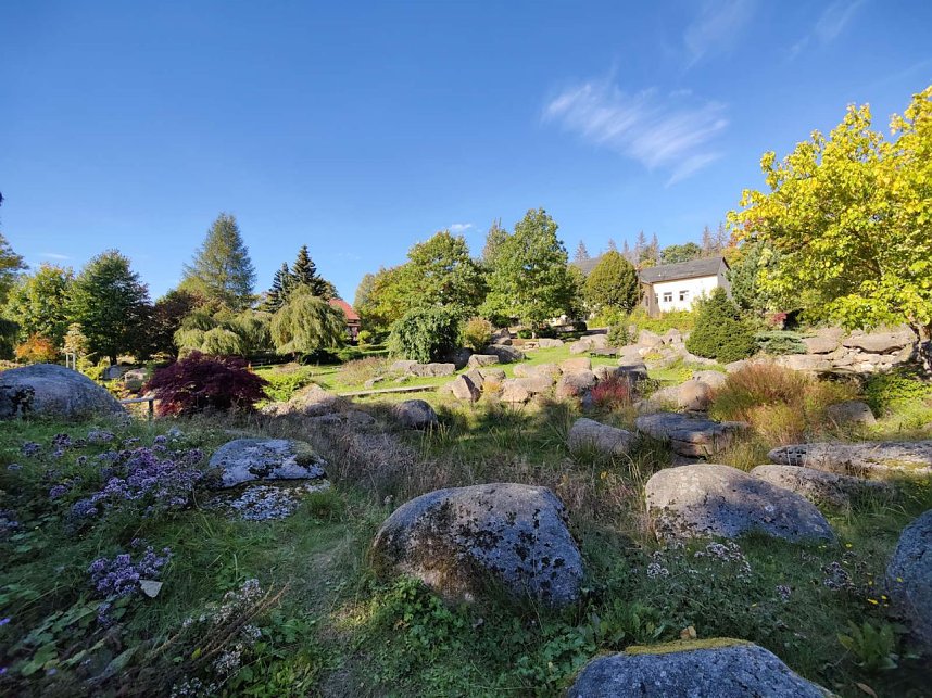 Unterwegs in Schierke