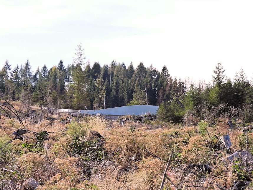 Unterwegs in Schierke