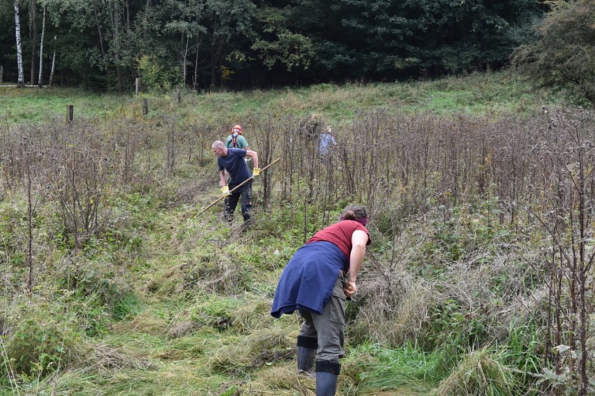 122. Artenschutzeinsatz des BUND-Kreisverbandes