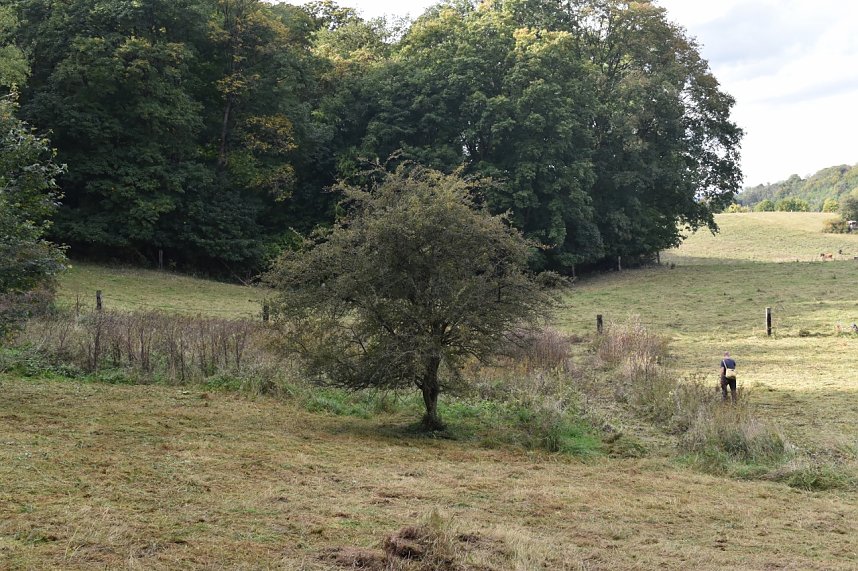 122. Artenschutzeinsatz des BUND-Kreisverbandes