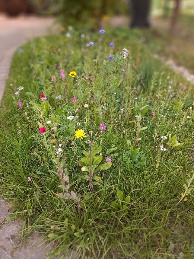 Aufregende Tag bei den Hohensteiner Burgspatzen