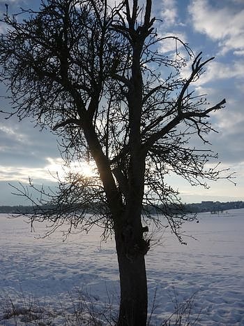 Winterbilder