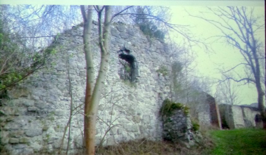 Vortrag im Geschichtsverein