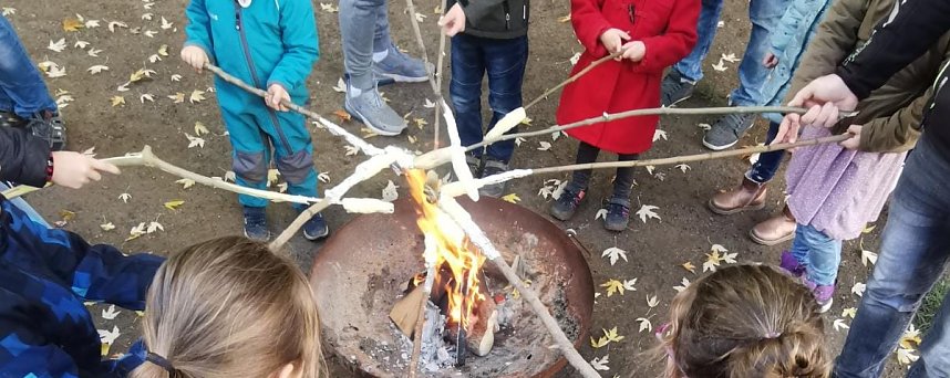 Mit sch&ouml;n geschnitzten K&uuml;rbissen startet man am Domschl&ouml;sschen in den Herbst