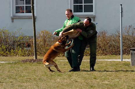 Vier- und Zweibeiner