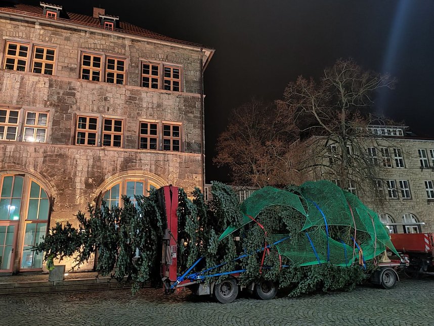 Der Nordh&auml;user Weihnachtsbaum und andere Motive