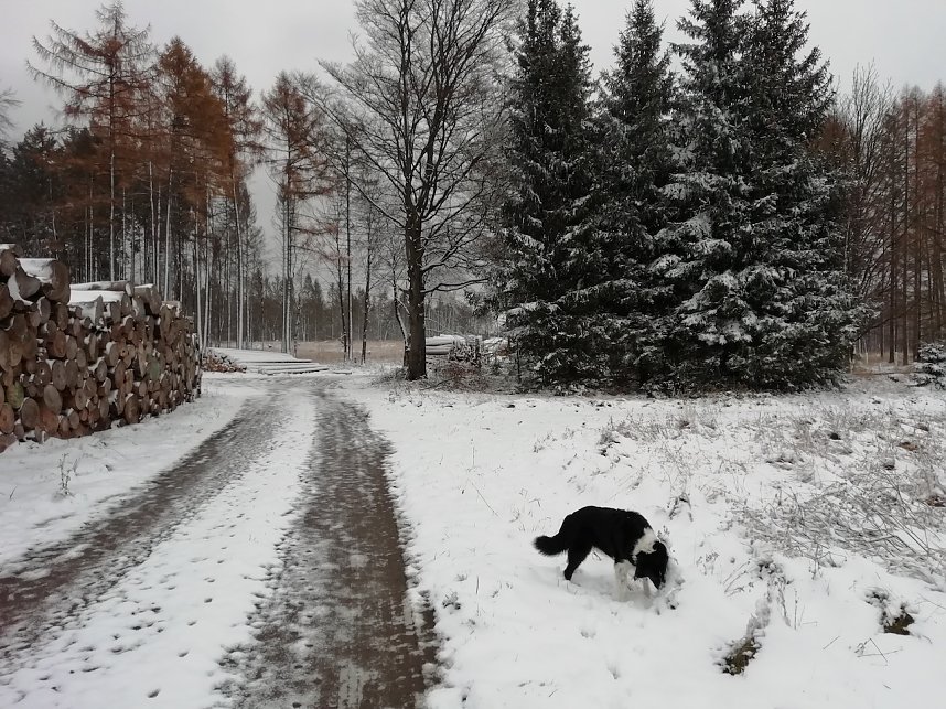 Winterwunderland in Sophienhof zum ersten Advent